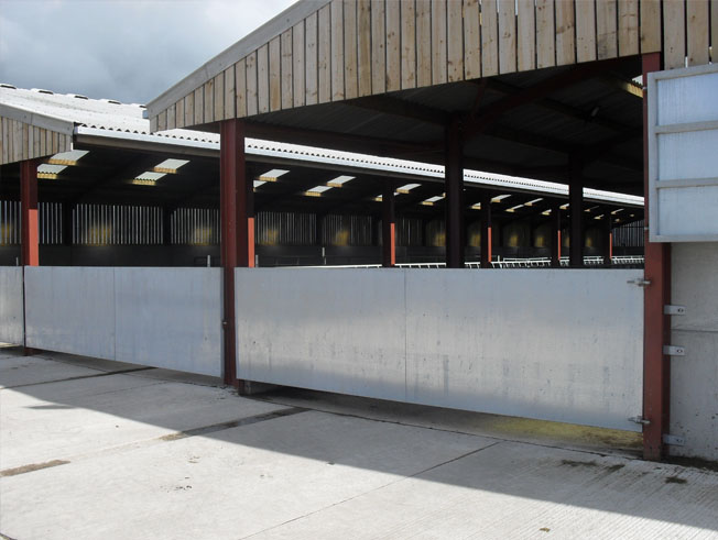 agricultural steel building