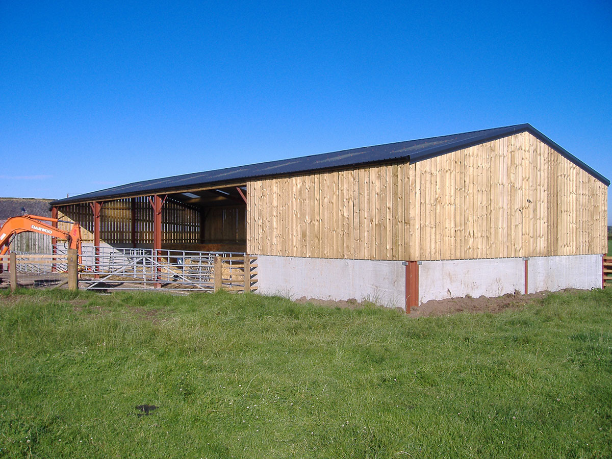 steel building gallery photo